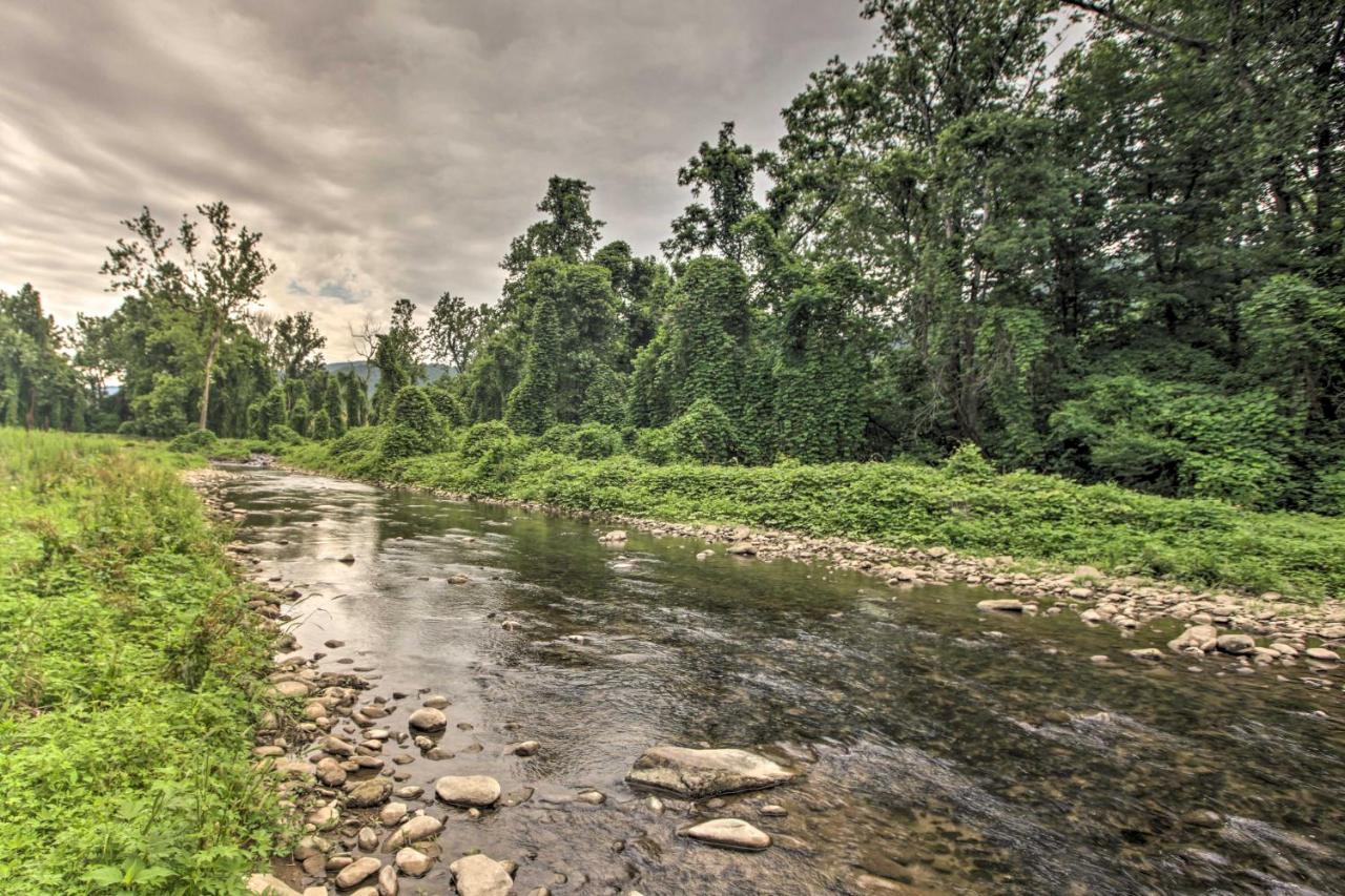 Secluded Stanardsville Cabin With 10 Acres And Hot Tub Εξωτερικό φωτογραφία
