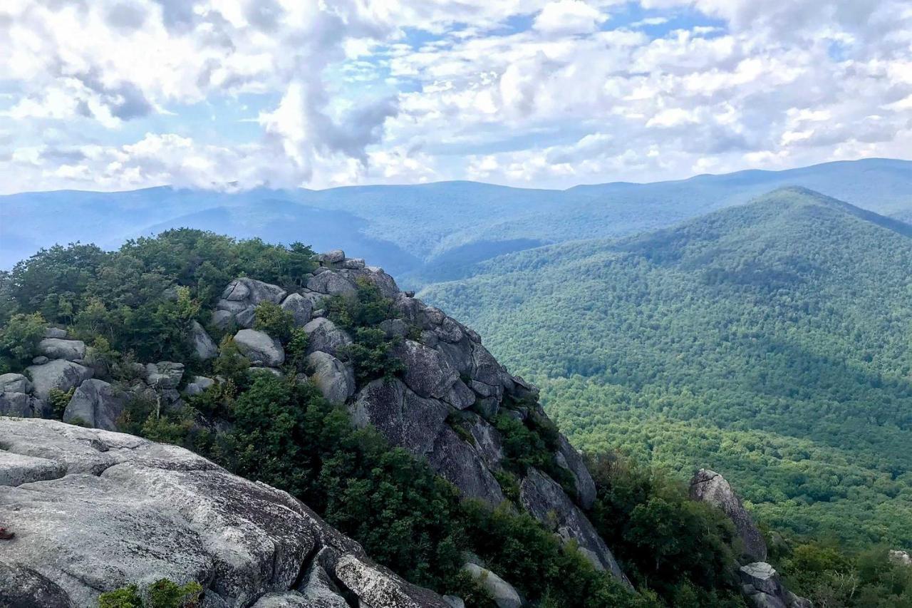 Secluded Stanardsville Cabin With 10 Acres And Hot Tub Εξωτερικό φωτογραφία
